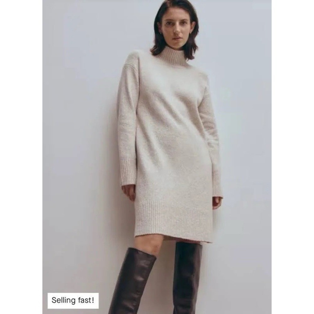 NWT Everlane The Cozy Stretch Turtleneck Dress Women's Large Wool Blend Pink